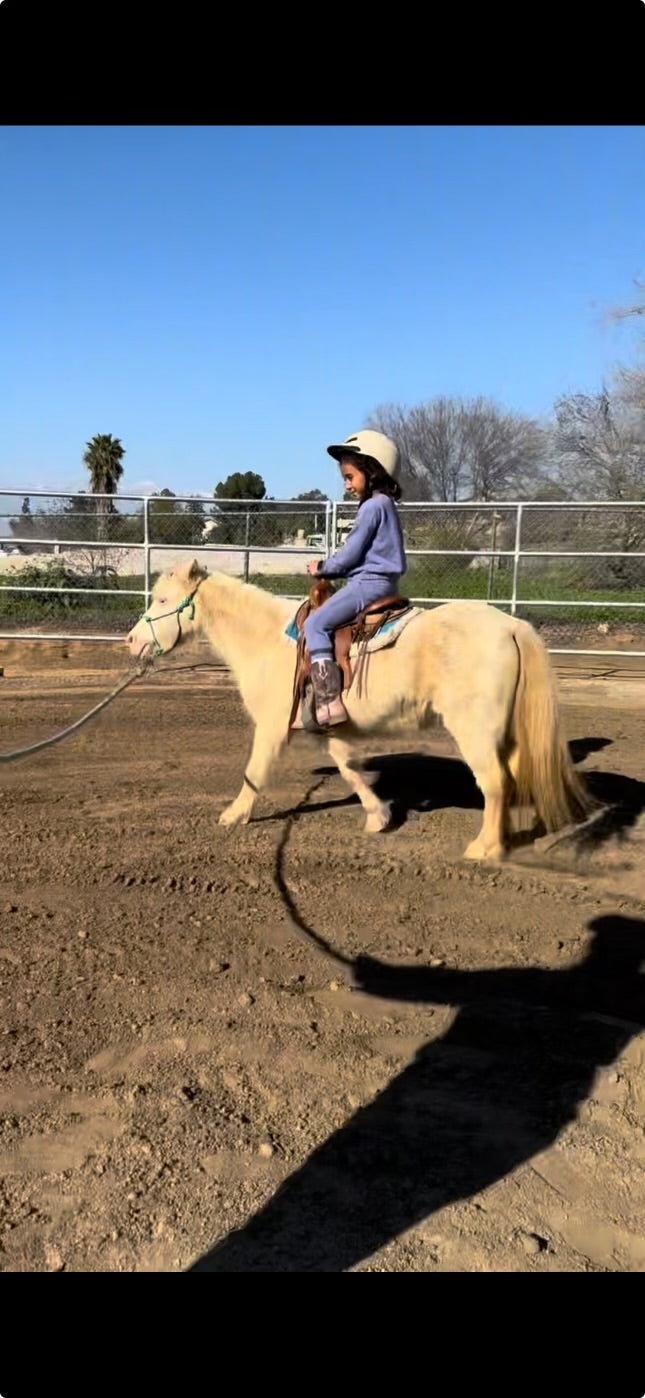 Ranch Tour Pony Ride