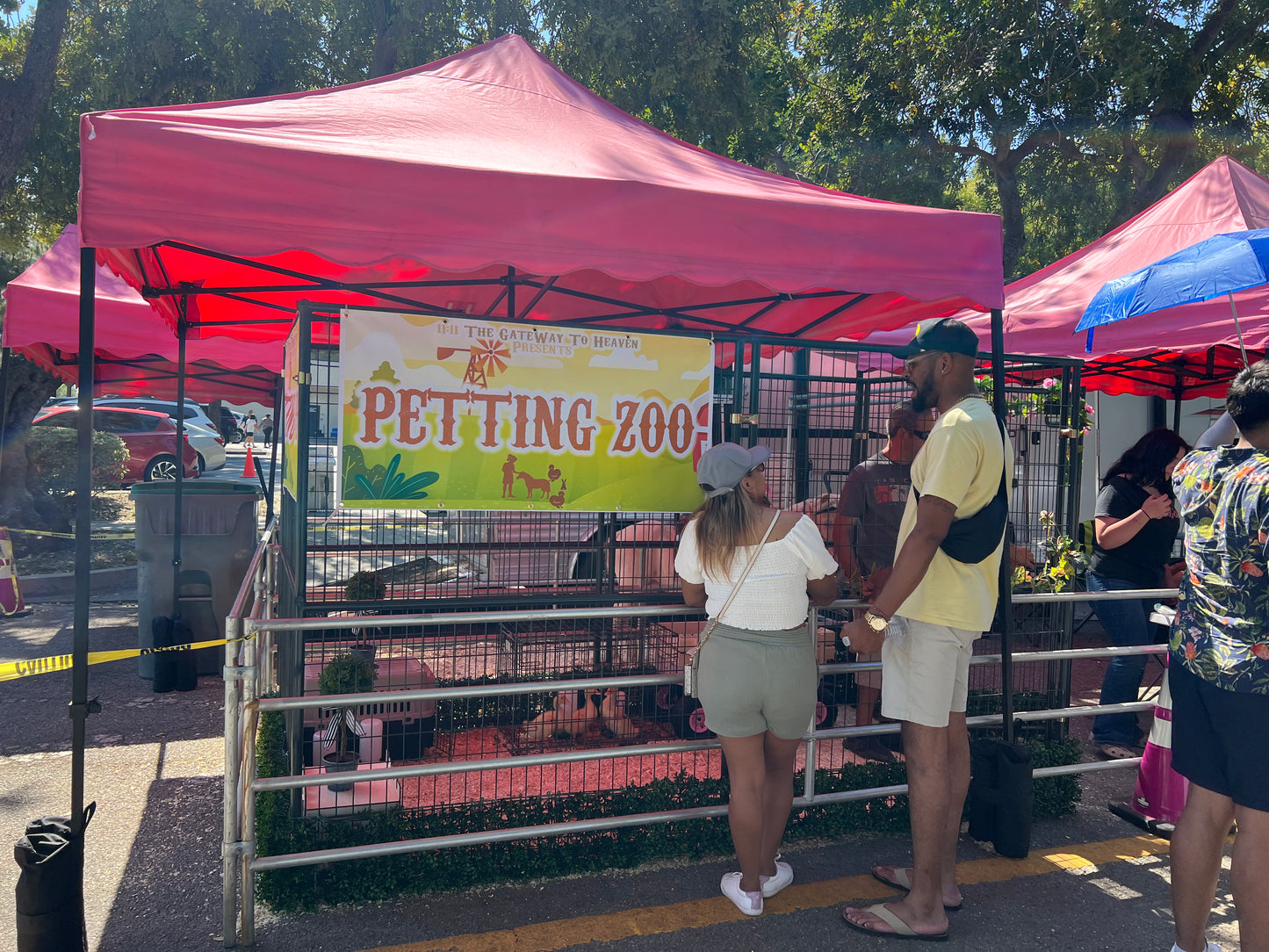 Group petting discount