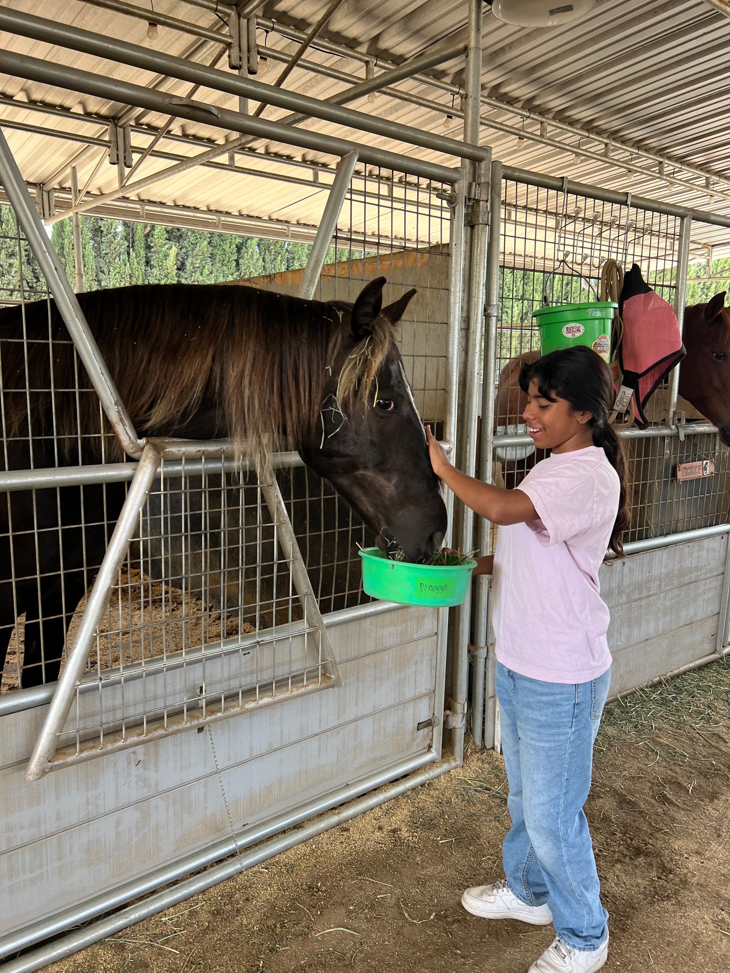 Ranch Tour Feed/Treats