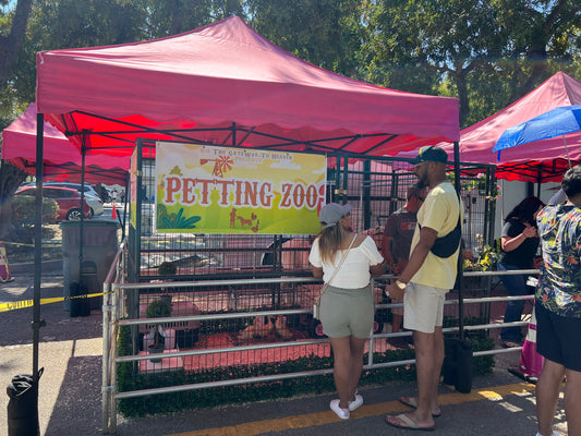Group petting discount