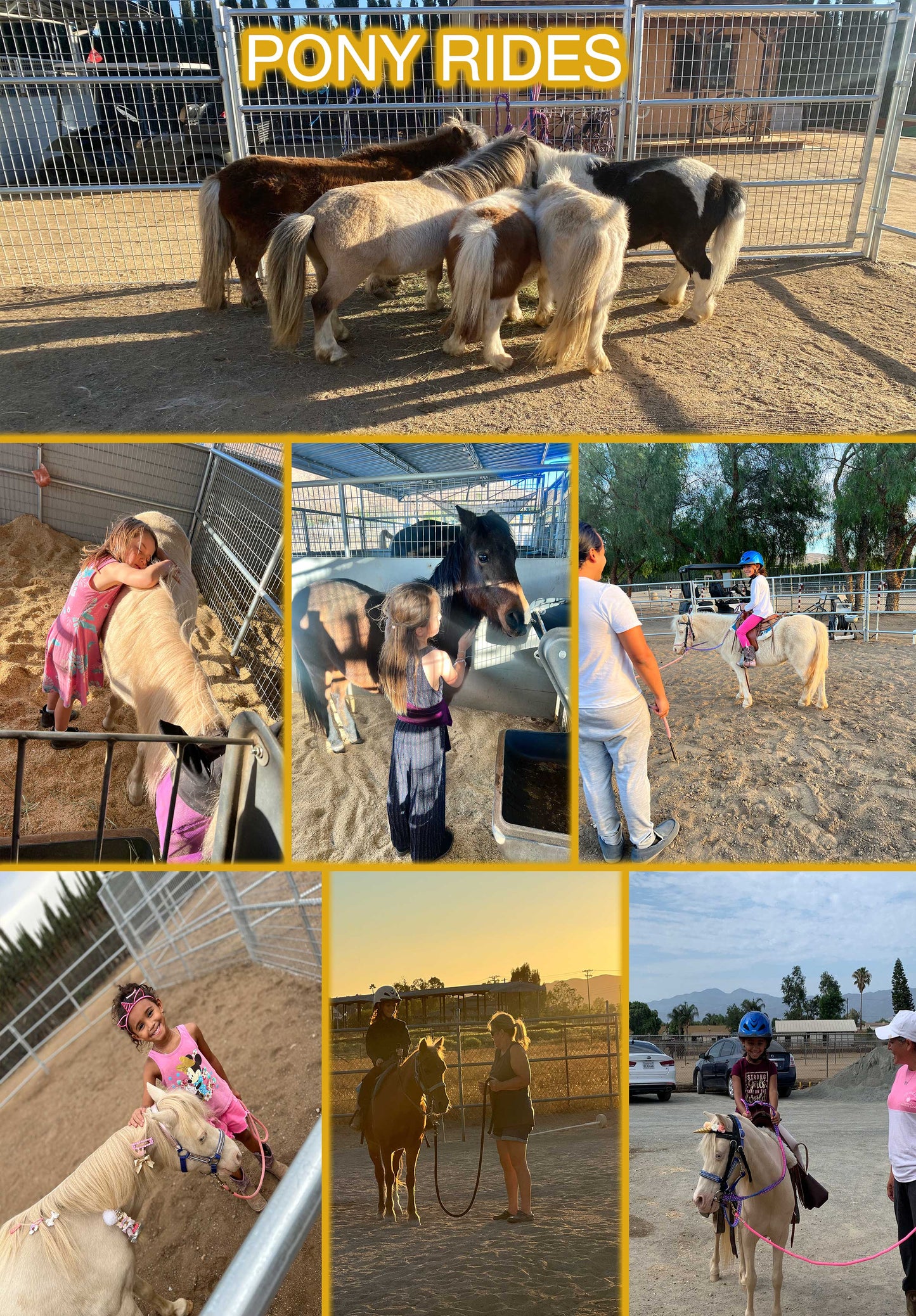 Pony Ride + Meet and Greet